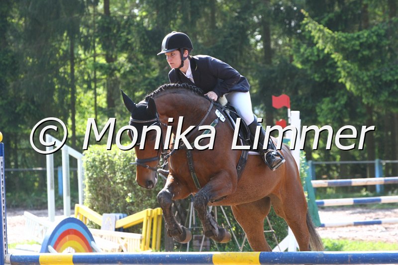 104M7693_Spring A.JPG